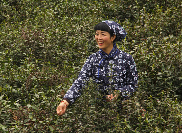 弹壳与玫瑰